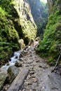 Hiking in the sapte scari canyon from Brasov.